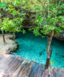 Cenotes Tulum