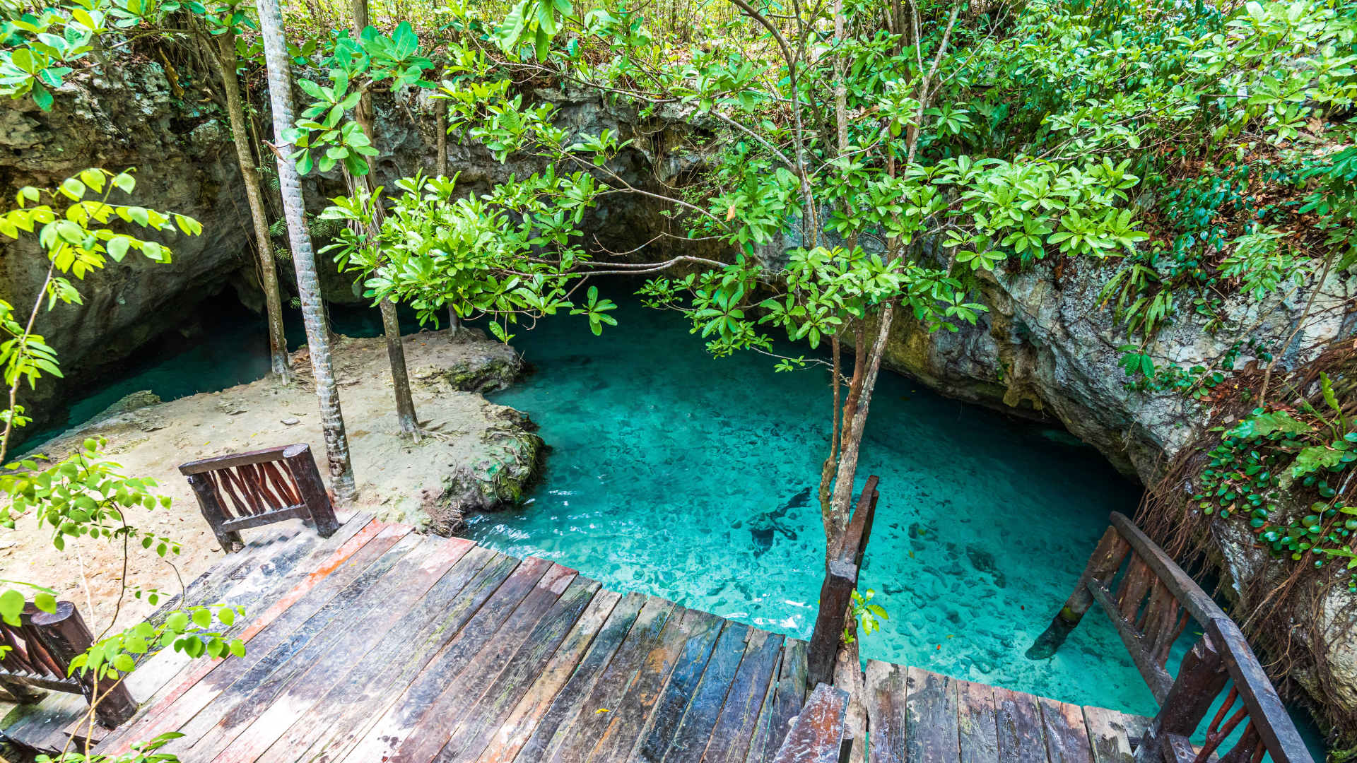 Cenotes Tulum